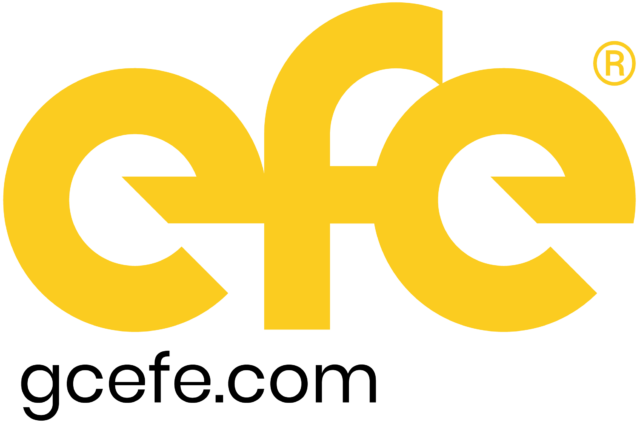Grupo Consultor EFE™
