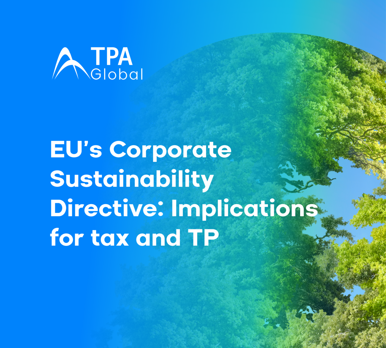 EU’s Corporate Sustainability Directive: Implications for tax and TP